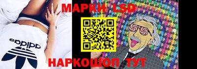 мдма Кингисепп