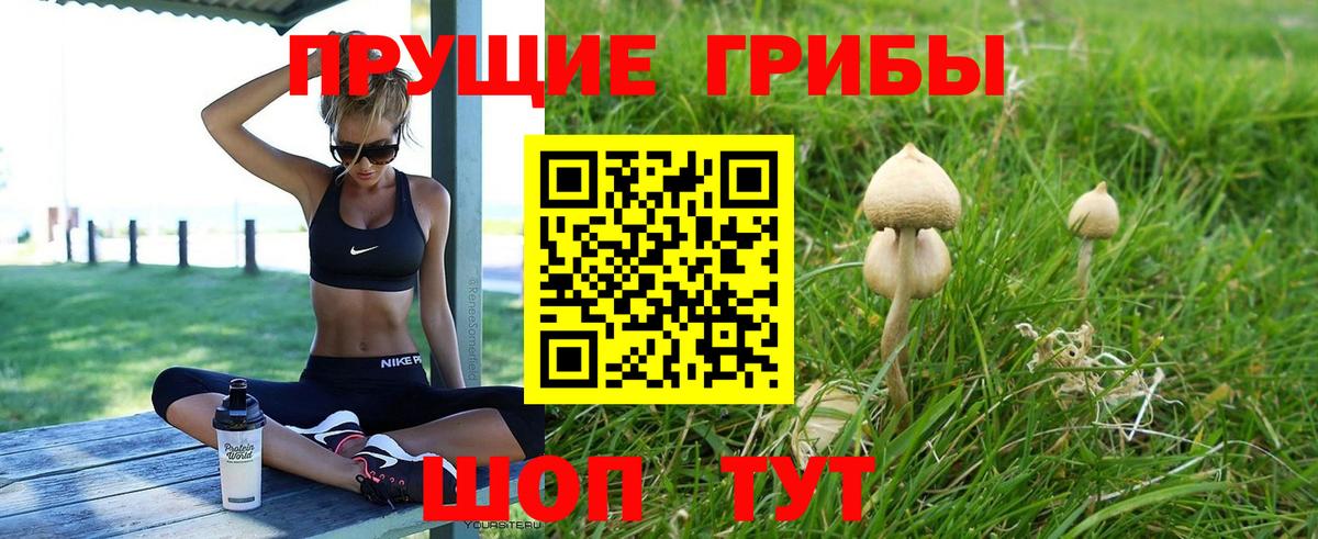 Галлюциногенные грибы Psilocybe Изобильный